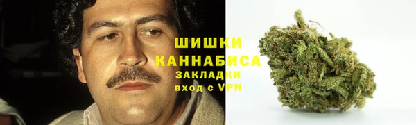 MESCALINE Гусь-Хрустальный