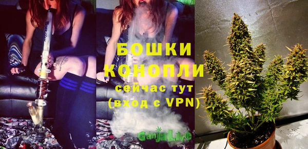 MESCALINE Гусь-Хрустальный